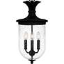 5_Havana 3-Light Earth Black Outdoor Hanging Lantern more views