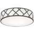 Haven 17" Flush Mount - Black Finish