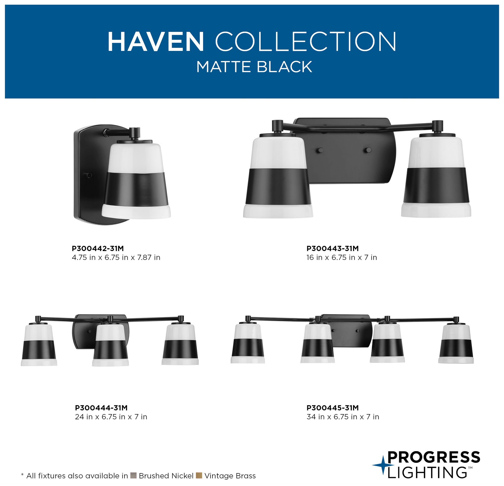 Haven Collection One-Light Opal Glass Luxe Industrial Bath Light