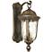 Havenwood 21 3/4" H Tavira Bronze and Alder Silver Outdoor Wall Light