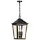 Hawkins 21 1/2"H Black w/ Gold 4-Light Outdoor Hanging Light
