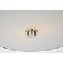 6_Hazen 2 Lt 12" Burnished Nickel Flush Mount more views