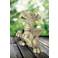 Henri Studio Bella 15 1/2"H Trevia Graystone Garden Statue