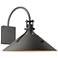 Henry Large Dark Sky Outdoor Sconce - Iron Finish