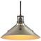 Henry Medium Steel Shade Pendant - Dark Smoke - Gold