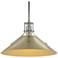 Henry Medium Steel Shade Pendant - Sterling - Modern Brass