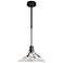 Henry Outdoor Pendant Medium - Black Finish - Clear Glass - Standard