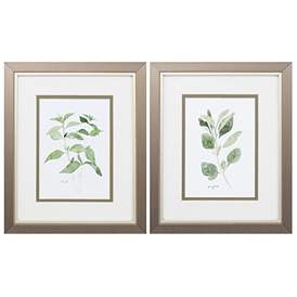 Image1 of Herb Garden Sketches 9"W x 11"H Framed Art Set of 2