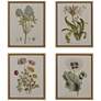 2_Herbal Botany 21 3/4"H 4-Piece Framed Canvas Wall Art Set