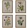 Herbal Botany 21 3/4"H 4-Piece Framed Canvas Wall Art Set