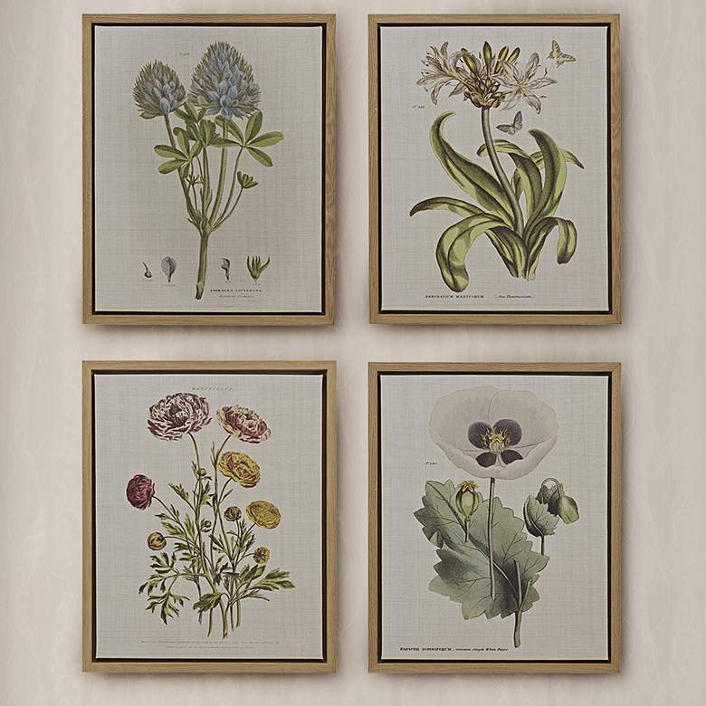 Image 1 Herbal Botany 21 3/4"H 4-Piece Framed Canvas Wall Art Set