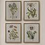 1_Herbal Botany 21 3/4"H 4-Piece Framed Canvas Wall Art Set