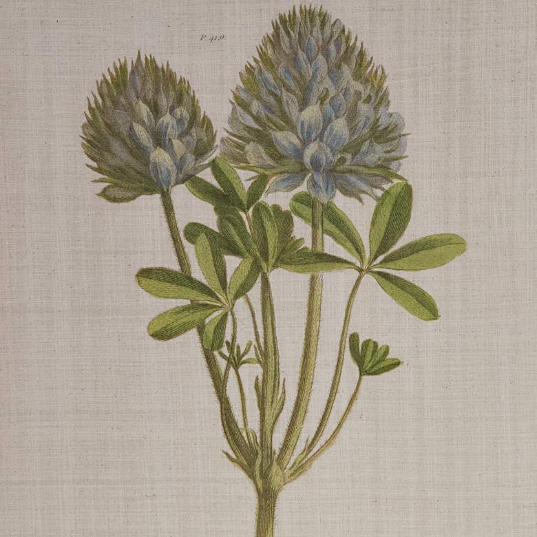 Image 4 Herbal Botany 21 3/4"H 4-Piece Framed Canvas Wall Art Set more views