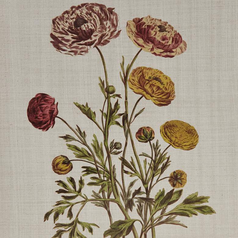 Image 5 Herbal Botany 21 3/4"H 4-Piece Framed Canvas Wall Art Set more views
