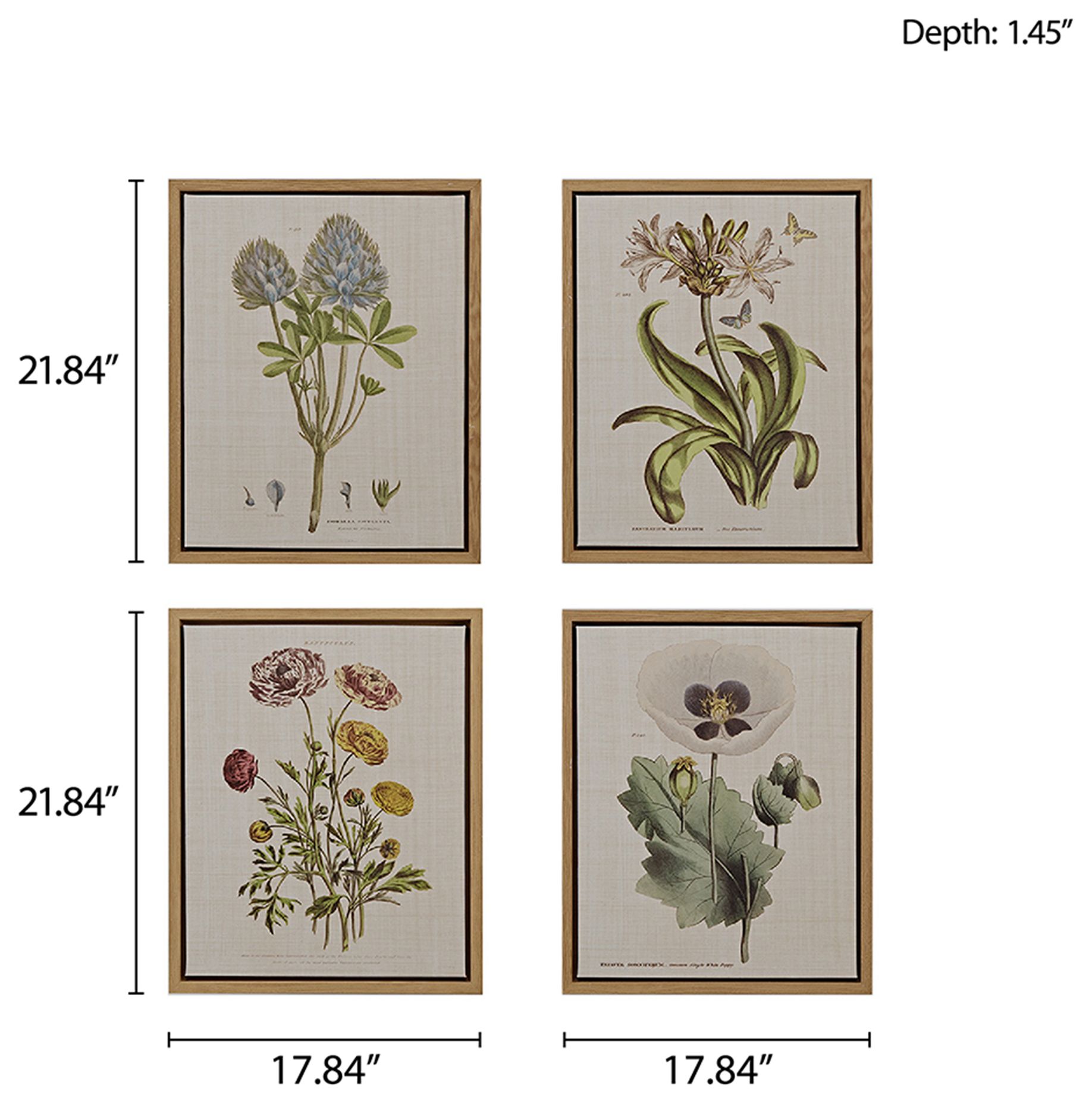 Herbal Botany 21 3/4"H 4-Piece Framed Canvas Wall Art Set