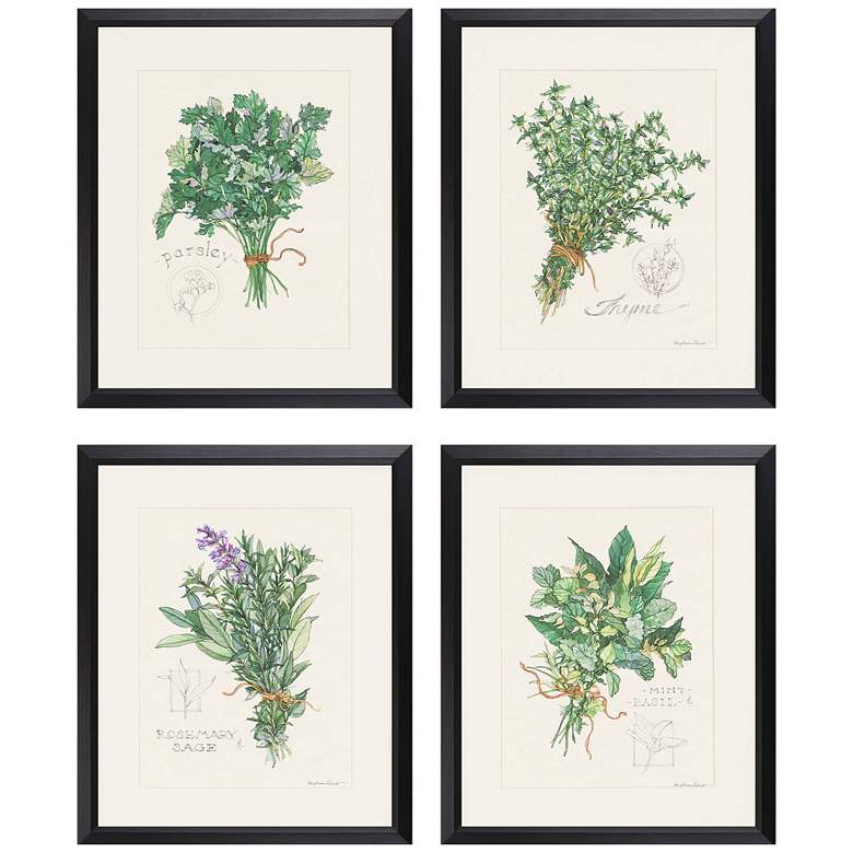 Image 1 Herbs 19"W x 23"H Framed Art Set of 4