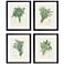 Herbs 19"W x 23"H Framed Art Set of 4