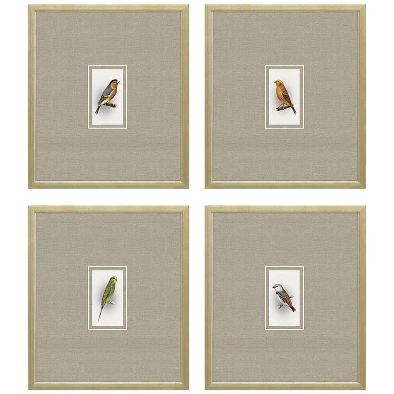 Image 3 Here Birdie I 14 inch High 4-Piece Giclee Framed Wall Art Set
