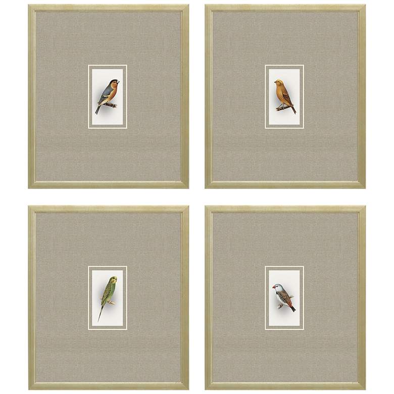 Image 3 Here Birdie I 14" High 4-Piece Giclee Framed Wall Art Set
