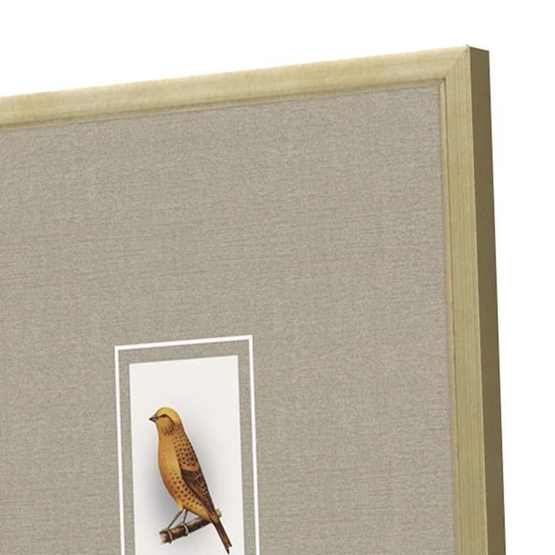 Image 4 Here Birdie I 14" High 4-Piece Giclee Framed Wall Art Set more views