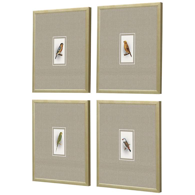 Image 5 Here Birdie I 14 inch High 4-Piece Giclee Framed Wall Art Set more views