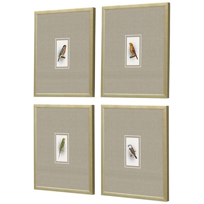 Image 5 Here Birdie I 14" High 4-Piece Giclee Framed Wall Art Set more views