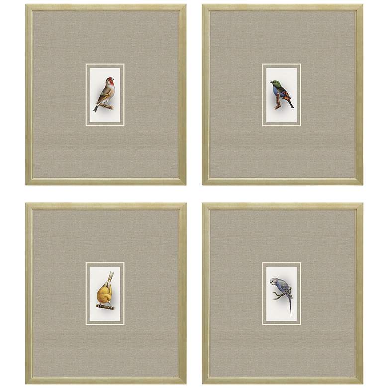 Image 3 Here Birdie II 14" High 4-Piece Giclee Framed Wall Art Set