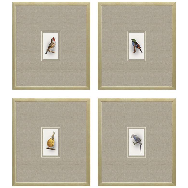 Image 3 Here Birdie II 14 inch High 4-Piece Giclee Framed Wall Art Set