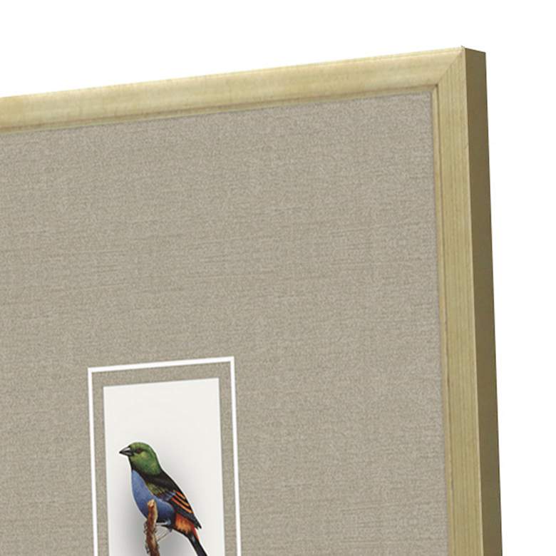 Image 4 Here Birdie II 14" High 4-Piece Giclee Framed Wall Art Set more views