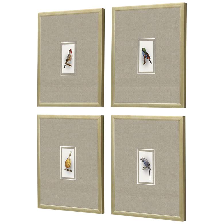 Image 5 Here Birdie II 14 inch High 4-Piece Giclee Framed Wall Art Set more views