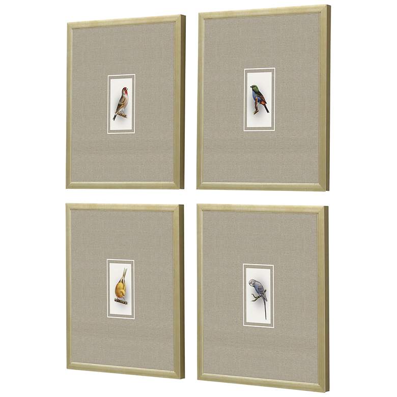 Image 5 Here Birdie II 14" High 4-Piece Giclee Framed Wall Art Set more views