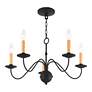 6_Heritage 24" Wide Black 5-Light Chandelier more views