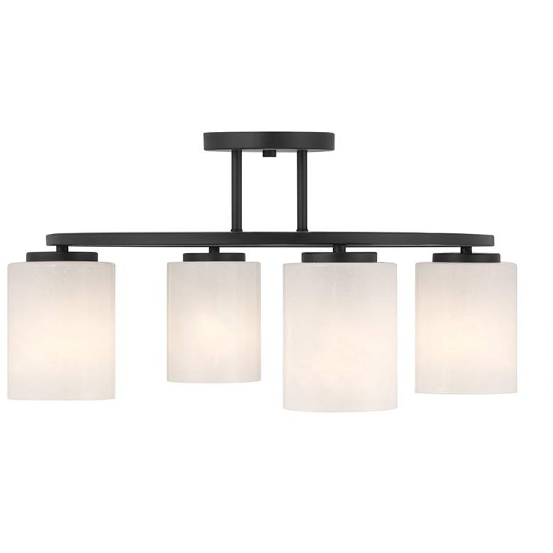 Image 1 Herron 4-Light Ceiling Light in Matte Black