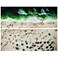 High Tide and Beach Day 63" Wide 2-Piece Glass Wall Art Set