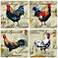 Hindostone Set of 4 Roosters Coasters