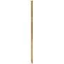 1_Hinkley Accessory Stem 12" Accessory Stem 0" Rustic Brass