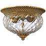 2_Hinkley Anana Plantation 12" Wide Glass and Brass Ceiling Light more views
