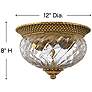 4_Hinkley Anana Plantation 12" Wide Glass and Brass Ceiling Light more views