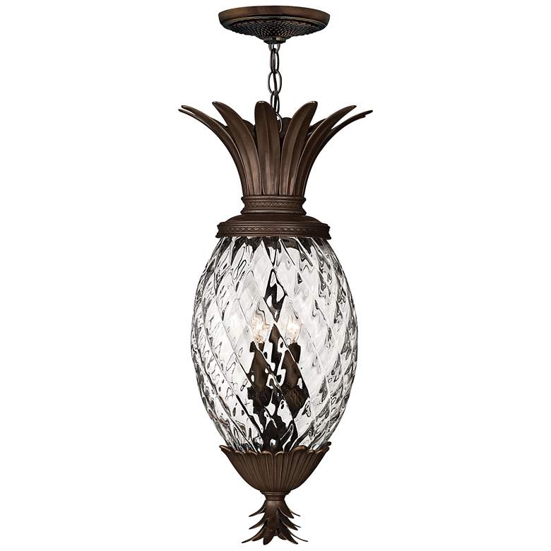 Image 1 Hinkley Anana Plantation 28 1/2 inch High Outdoor Hanging Light