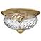 Hinkley Anana Plantation Collection 16" Wide Ceiling Light