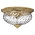 Hinkley Anana Plantation Collection 16" Wide Ceiling Light