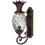 1_Hinkley Anana Plantation Collection 22" High Outdoor Wall Light