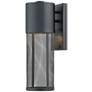 Hinkley Aria 15 1/2" High Black and Steel Mesh Outdoor Wall Light