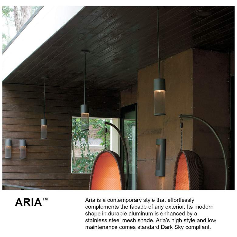 Image 6 Hinkley Aria 18 1/2"H Buckeye Bronze LED Outdoor Wall Light more views