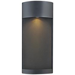 Hinkley Aria 18&quot;H Black and Steel Mesh Outdoor Wall Light