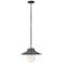 Hinkley Atwell 11" High Aged Zinc Outdoor Hanging Light
