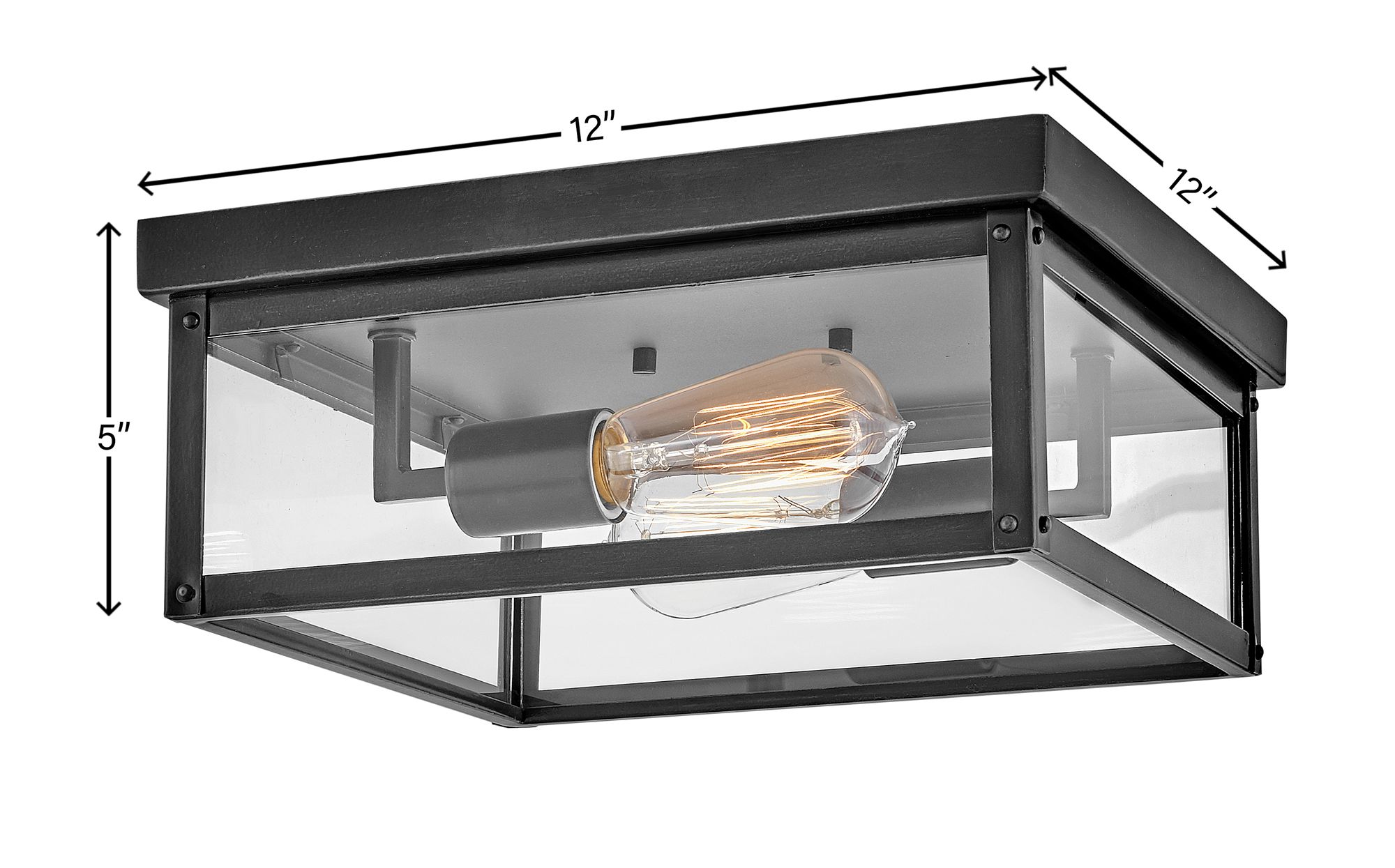 Hinkley Beckham 12" Wide Black Outdoor Ceiling Light