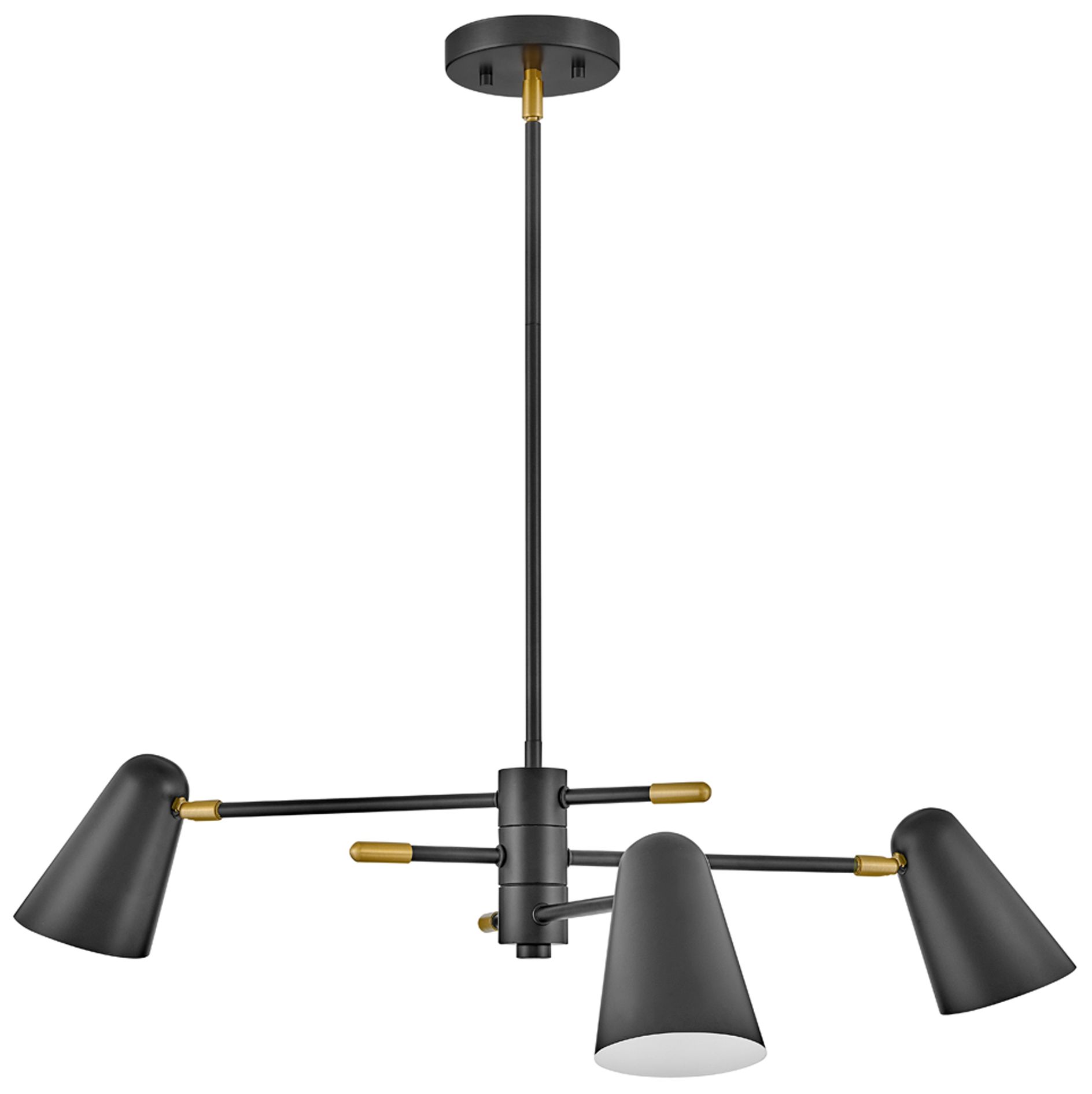 Hinkley Birdie 30" Wide Black 3-Light Chandelier