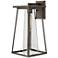 Hinkley Burke 16 3/4" High Bronze and Clear Glass Outdoor Wall Light