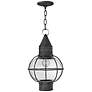 Hinkley Cape Cod 11" Wide Aged Zinc Outdoor Hanging Light